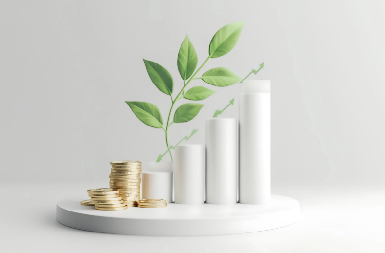 Crescimento sustentável no e-commerce